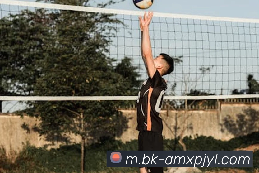 澳门新葡京娱乐APP 体育赛事宣传图